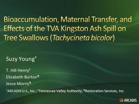 Suzy Young † T. Hill Henry ‡ Elizabeth Burton ¶ Jesse Morris ¶ † ARCADIS U.S., Inc.; ‡ Tennessee Valley Authority; ¶ Restoration Services, Inc.