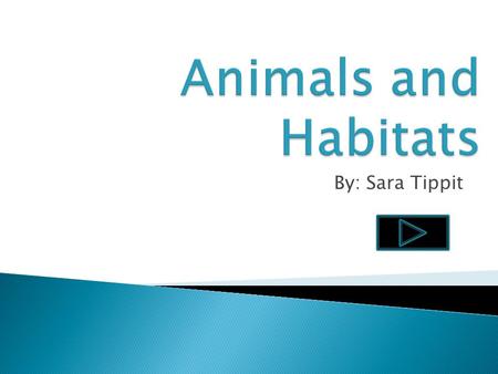 By: Sara Tippit.  Content Area: Science  Grade Level: 2 nd Grade  Summary: The purpose of the PowerPoint is for students to learn that animals live.