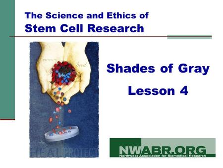 Shades of Gray Lesson 4 The Science and Ethics of Stem Cell Research.