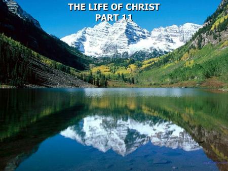 THE LIFE OF CHRIST PART 11 THE LIFE OF CHRIST PART 11.