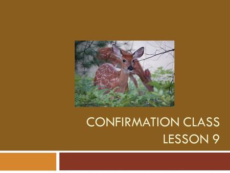 CONFIRMATION CLASS LESSON 9. What is Church and what makes a church a “good church?” Why are there so many churches that call themselves “Christian?”