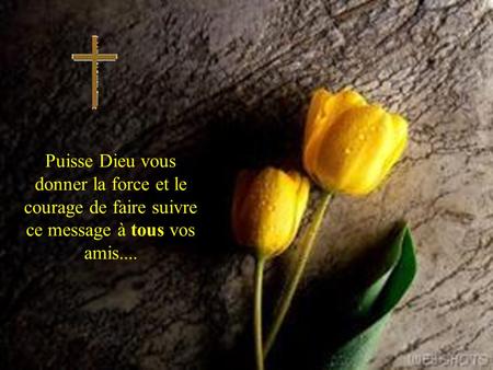 Puisse Dieu vous donner la force et le courage de faire suivre ce message à tous vos amis....