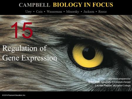 CAMPBELL BIOLOGY IN FOCUS © 2014 Pearson Education, Inc. Urry Cain Wasserman Minorsky Jackson Reece 15 Regulation of Gene Expression Questions prepared.