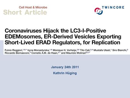 January 24th 2011 Kathrin Hüging. Coronaviruses: Coronaviridae family, order Nidovirales Gained prominence during the SARS (severe acute respiratory syndrome)