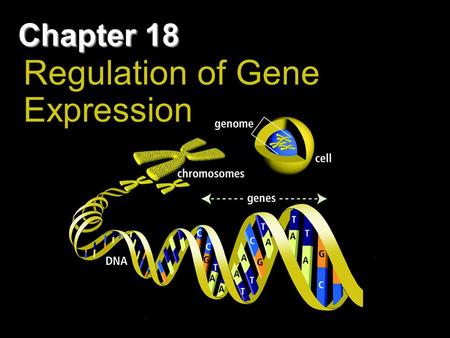 Regulation of Gene Expression