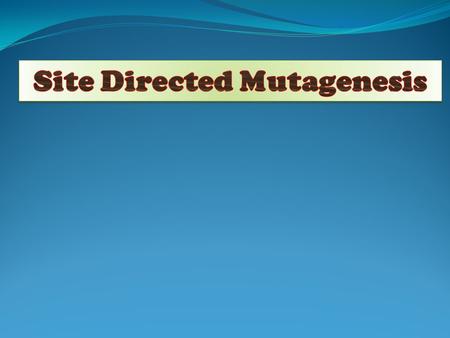 Site Directed Mutagenesis