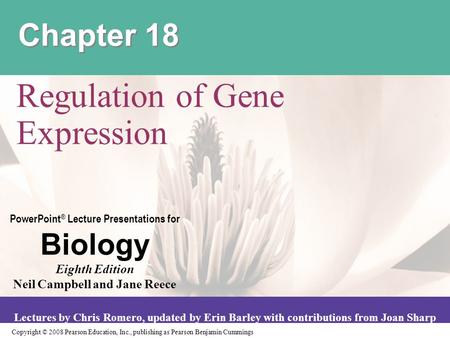 Regulation of Gene Expression