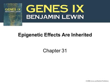 Epigenetic Effects Are Inherited