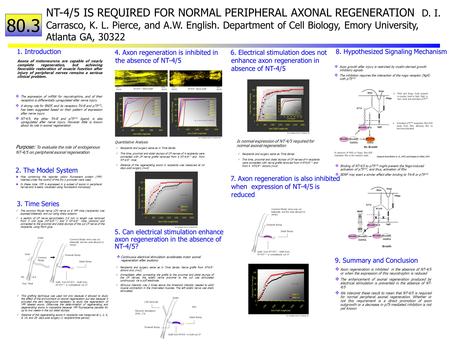 80.3  The expression of mRNA for neurotrophins, and of their receptors is differentially upregulated after nerve injury  A strong role for BNDF, and.