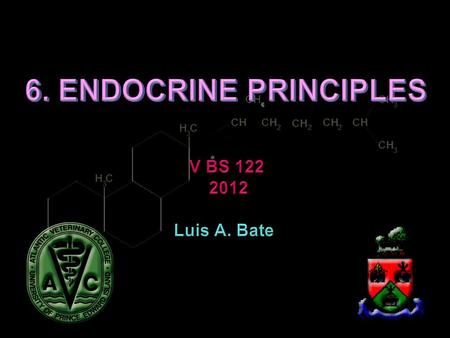 F 6-4 F 6-5 F 6-8 CH 2 NH 2 COOH PHENYLALANINE RATE LIMITING STEP CH 2 PNMT (Phenyl ethanol amine N Methyl transferase) HO CCH 2 H.