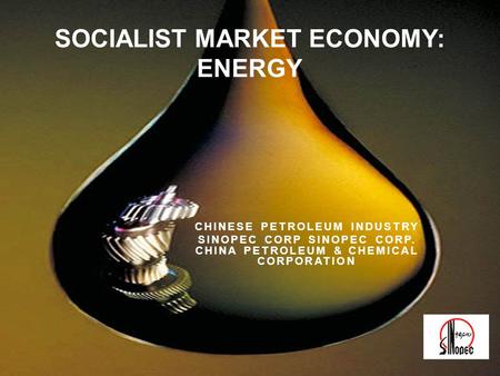 SOCIALIST MARKET ECONOMY: ENERGY