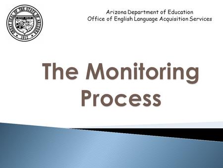 The Monitoring Process