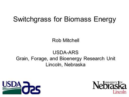 Switchgrass for Biomass Energy