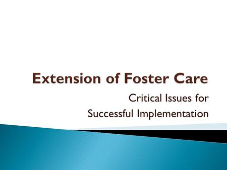 Critical Issues for Successful Implementation.  Samanthya Amann, Iowa  Nicole Byers, Delaware  Kate Hanley, Consultant with the NRCYD.