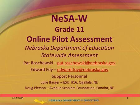 NeSA-W Grade 11 Online Pilot Assessment Nebraska Department of Education Statewide Assessment Pat Roschewski –