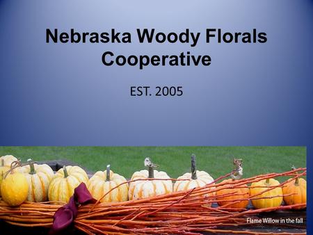 Nebraska Woody Florals Cooperative EST. 2005. Nebraska Woody Florals Cooperative Partners Scott Josiah, State Forester – Nebraska State Forest Service.