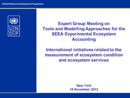 Expert Group Meeting on Tools and Modelling Approaches for the SEEA Experimental Ecosystem Accounting International initiatives related to the measurement.