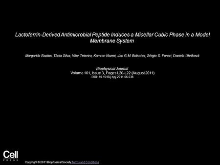 Lactoferrin-Derived Antimicrobial Peptide Induces a Micellar Cubic Phase in a Model Membrane System Margarida Bastos, Tânia Silva, Vitor Teixeira, Kamran.