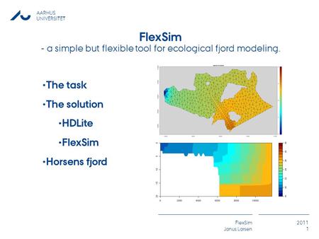 AARHUS UNIVERSITET FlexSim Janus Larsen 2011 1 The task The solution HDLite FlexSim Horsens fjord FlexSim - a simple but flexible tool for ecological fjord.