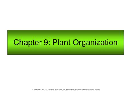 Chapter 9: Plant Organization