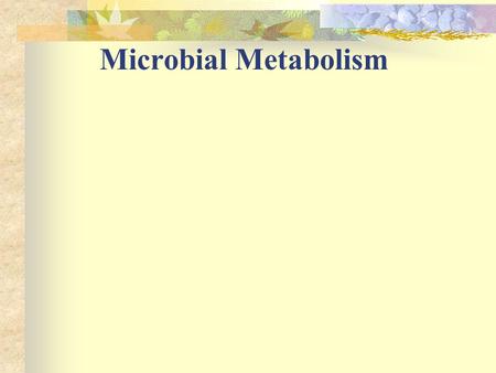 Microbial Metabolism.