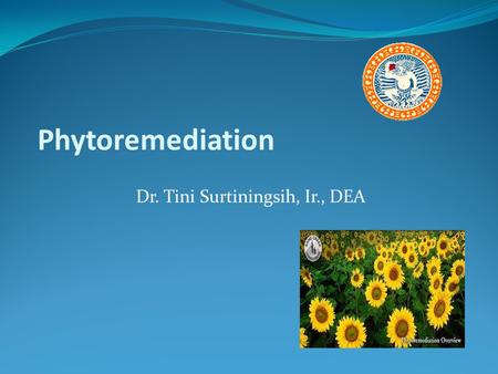 Phytoremediation Dr. Tini Surtiningsih, Ir., DEA.