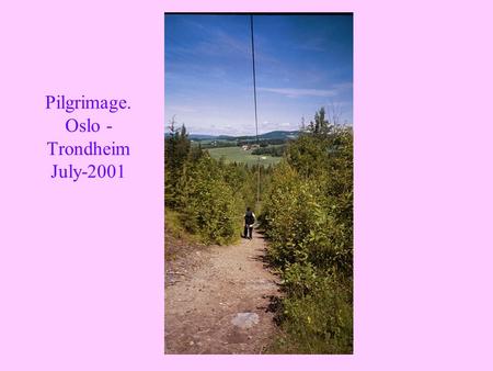 Pilgrimage. Oslo - Trondheim July-2001. GUDBRANDSDALEN LOOKING TO THE SOUTH.