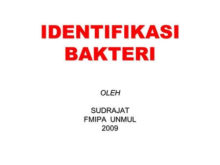 IDENTIFIKASI BAKTERI OLEHSUDRAJAT FMIPA UNMUL 2009.