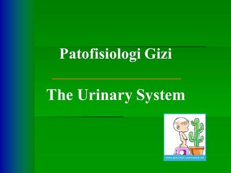 Patofisiologi Gizi The Urinary System.