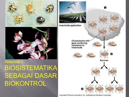 BIOSISTEMATIKA SEBAGAI DASAR BIOKONTROL