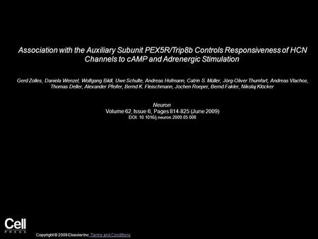 Association with the Auxiliary Subunit PEX5R/Trip8b Controls Responsiveness of HCN Channels to cAMP and Adrenergic Stimulation Gerd Zolles, Daniela Wenzel,