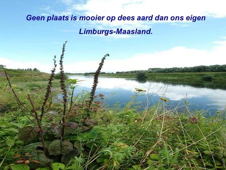 Geen plaats is mooier op dees aard dan ons eigen Limburgs-Maasland.