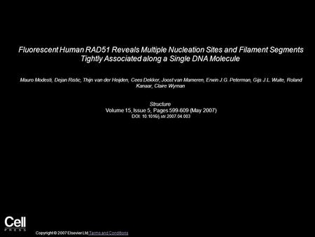 Fluorescent Human RAD51 Reveals Multiple Nucleation Sites and Filament Segments Tightly Associated along a Single DNA Molecule Mauro Modesti, Dejan Ristic,