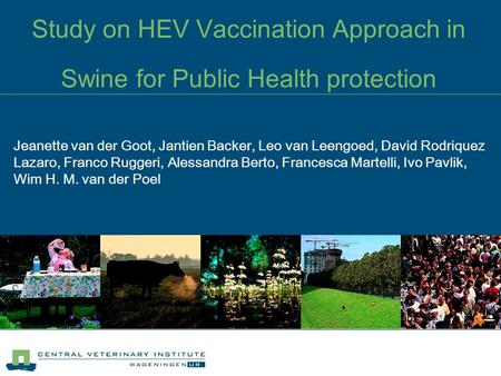 Study on HEV Vaccination Approach in Swine for Public Health protection Jeanette van der Goot, Jantien Backer, Leo van Leengoed, David Rodriquez Lazaro,