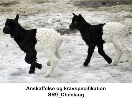 Anskaffelse og kravspecifikation SR9_Checking. SR9: Checking and validation Kilder SR: Soren Lauesen: Software requirements - Styles and techniques. Addison-Wesley,