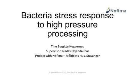 Bacteria stress response to high pressure processing Tine Bergitte Heggernes Supervisor: Nadav Skjøndal-Bar Project with Nofima – Måltidets Hus, Stavanger.