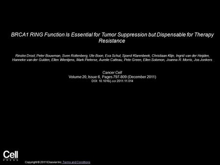 BRCA1 RING Function Is Essential for Tumor Suppression but Dispensable for Therapy Resistance Rinske Drost, Peter Bouwman, Sven Rottenberg, Ute Boon, Eva.