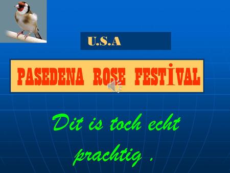 U.S.A PASEDENA ROSE FEST İ VAL Dit is toch echt prachtig.