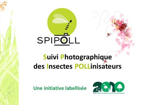 Suivi Photographique des Insectes POLLinisateurs Une initiative labellisée.