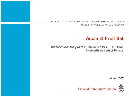 Auxin & Fruit Set Leiden 2007 The functional analysis of AUXIN RESPONSE FACTORS involved in fruit set of Tomato INSTITUTE OF WATER AND WETLAND RESEARCH.