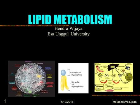 LIPID METABOLISM 4/19/2015 1 Metabolisme Lipida Hendra Wijaya Esa Unggul University.