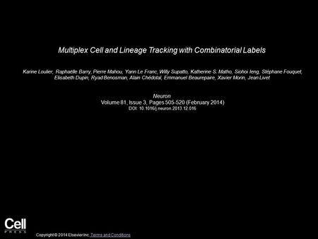 Multiplex Cell and Lineage Tracking with Combinatorial Labels Karine Loulier, Raphaëlle Barry, Pierre Mahou, Yann Le Franc, Willy Supatto, Katherine S.