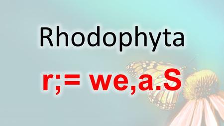 r;= we,a.S iQ kHIaál fõ' fïjd úoHd;aul j¾.SlrKhg wkqj bhqleßhd wêrdcOdksfha Protista jxYhg we;=