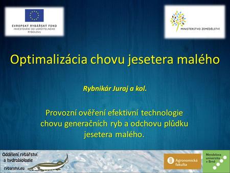 Optimalizácia chovu jesetera malého Provozní ověření efektivní technologie chovu generačních ryb a odchovu plůdku jesetera malého. Rybnikár Juraj a kol.