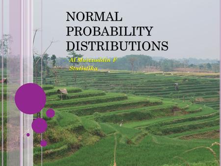 NORMAL PROBABILITY DISTRIBUTIONS Al Muizzuddin F Statistika.