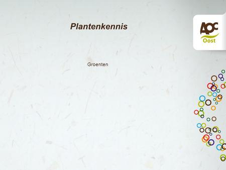 Plantenkennis Groenten. aardappel Solanum tuberosum.