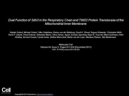 Dual Function of Sdh3 in the Respiratory Chain and TIM22 Protein Translocase of the Mitochondrial Inner Membrane Natalia Gebert, Michael Gebert, Silke.