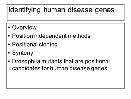 Identifying human disease genes Overview Position independent methods Positional cloning Synteny Drosophila mutants that are positional candidates for.