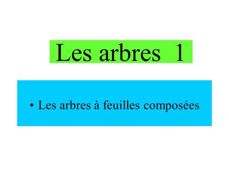 Les arbres 1 Les arbres à feuilles composées. Aesculus hyppocastaneum Le Marronnier.