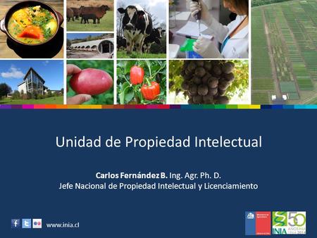 Www.inia.cl Unidad de Propiedad Intelectual Carlos Fernández B. Ing. Agr. Ph. D. Jefe Nacional de Propiedad Intelectual y Licenciamiento.